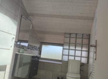 Jardin Coubertin loft bain