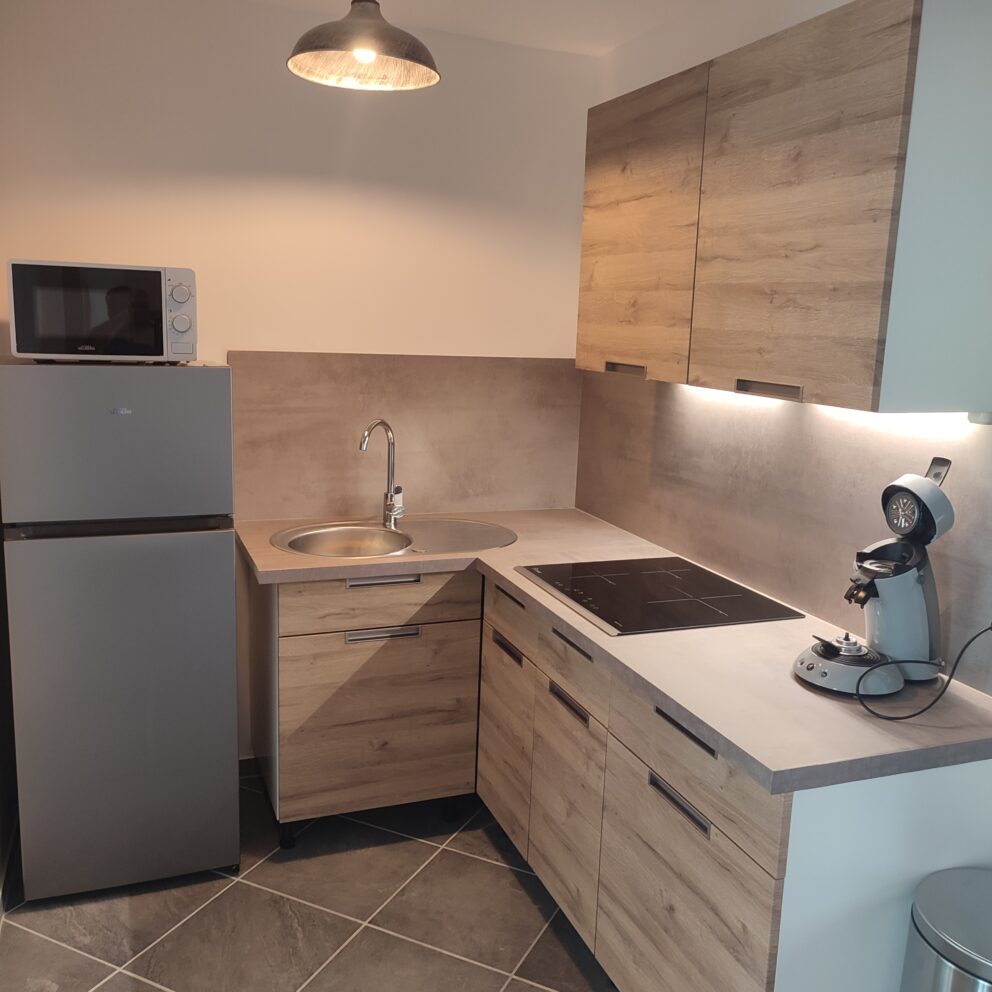 Coubertin appartement cuisine lumiere