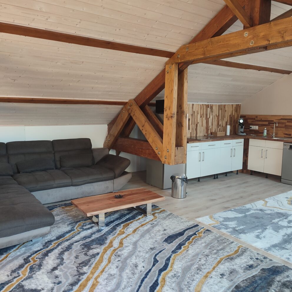 Jardin Coubertin loft lounge couisine